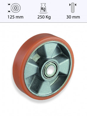 428125LC_G.jpg